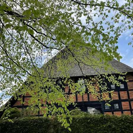 Ferienwohnung St. Dionyser Heidedorf Sankt Dionys Exterior photo